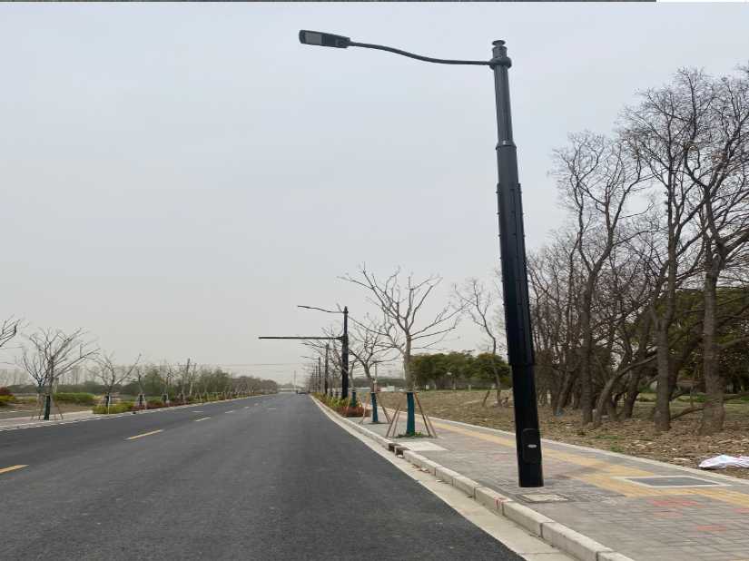 郴州市上海综合杆 太阳能路灯工程